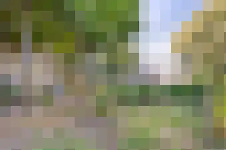 Palmbosstraat 12 Klein Zundert thumbnail 36