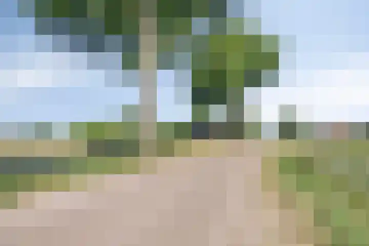 Palmbosstraat 12 Klein Zundert thumbnail 43