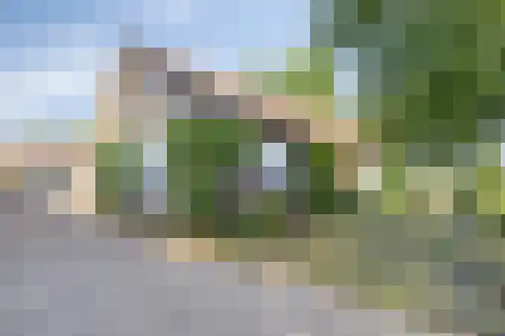 Palmbosstraat 12 Klein Zundert thumbnail 44