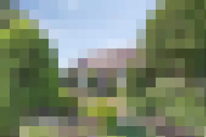 Palmbosstraat 12 Klein Zundert thumbnail 7