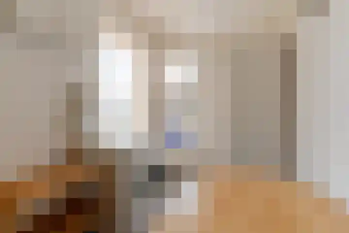 Palmbosweg 12 19 Ermelo thumbnail 18