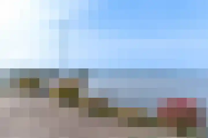 Palmbosweg 12 19 Ermelo thumbnail 19
