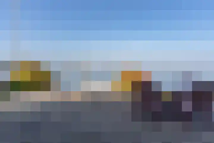 Palmbosweg 12 19 Ermelo thumbnail 21