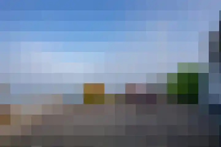 Palmbosweg 12 19 Ermelo thumbnail 22