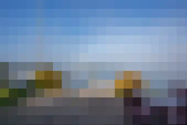 Palmbosweg 12 19 Ermelo thumbnail 23
