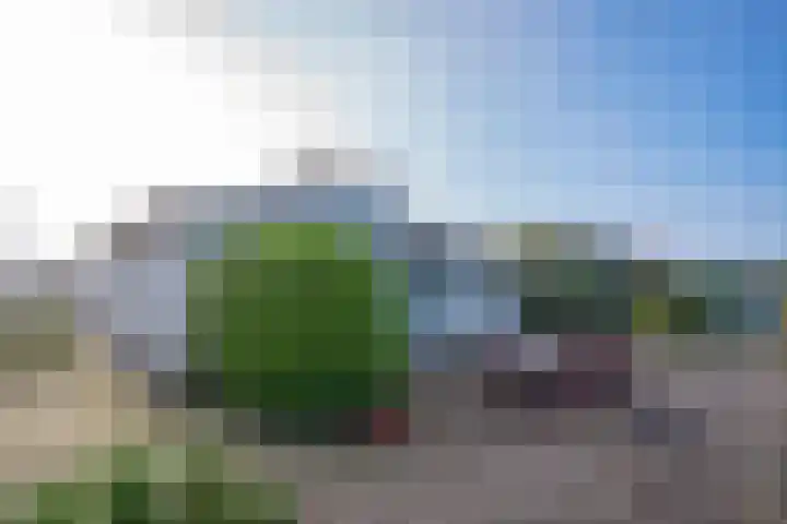 Palmbosweg 12 19 Ermelo thumbnail 25