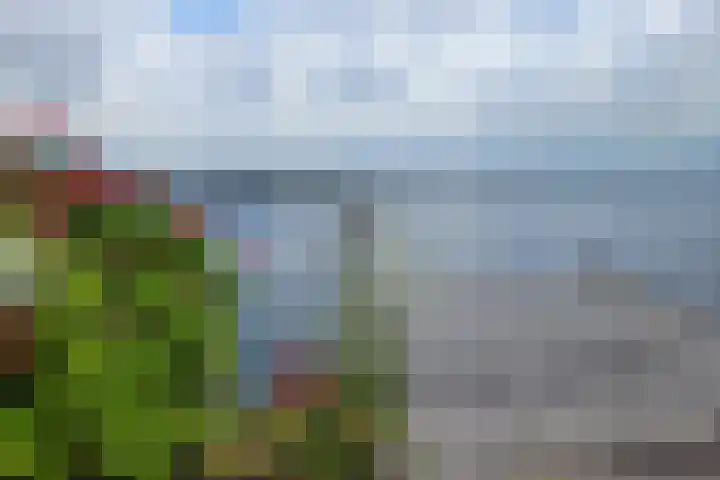 Palmbosweg 12 19 Ermelo thumbnail 26