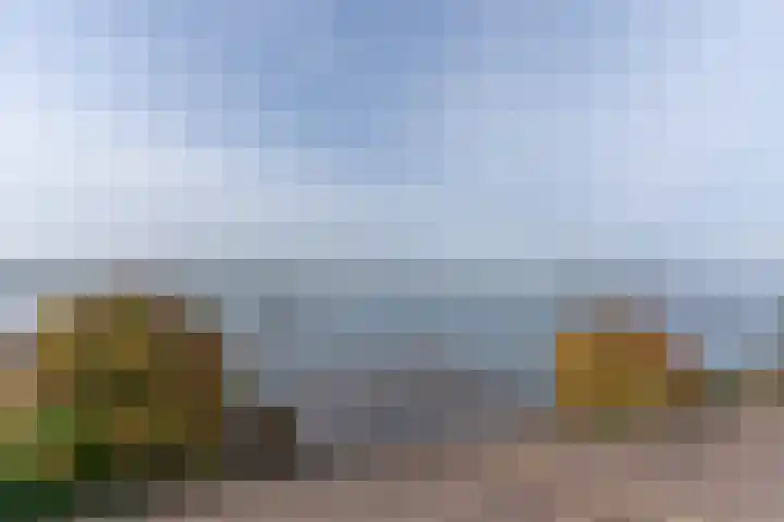 Palmbosweg 12 19 Ermelo thumbnail 4
