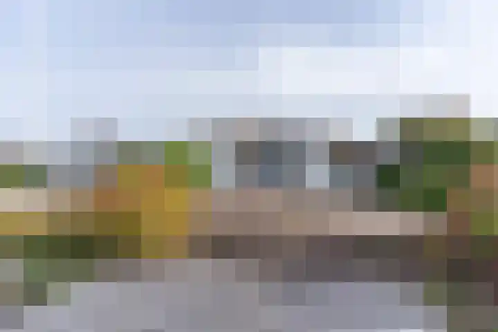 Palmbosweg 12 19 Ermelo thumbnail 5