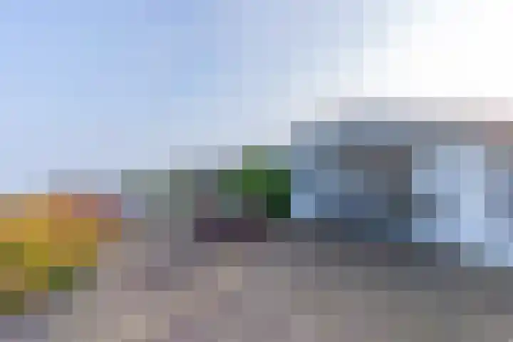 Palmbosweg 12 19 Ermelo thumbnail 6