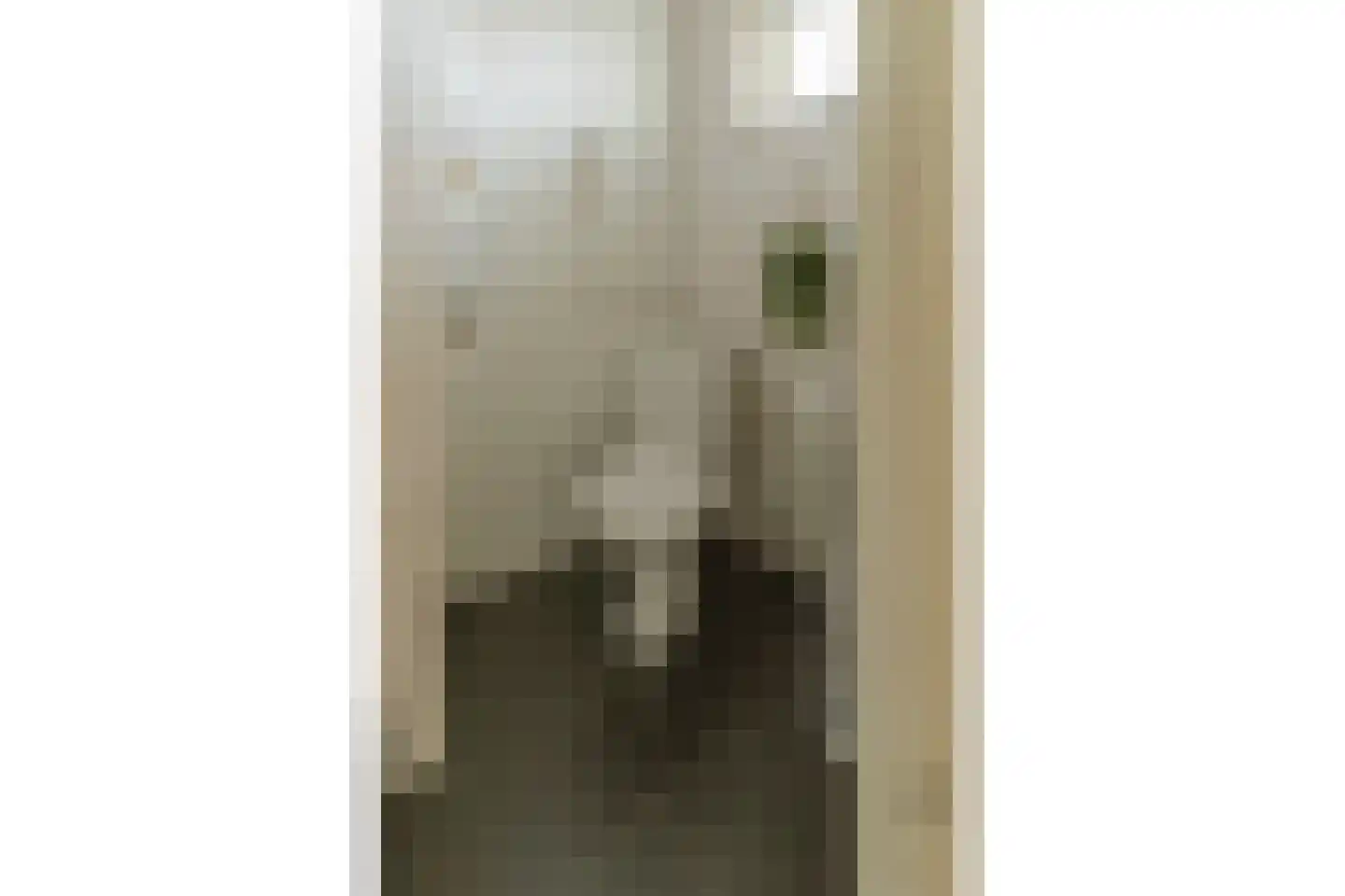 Palmbosweg 12 23 Ermelo thumbnail 10