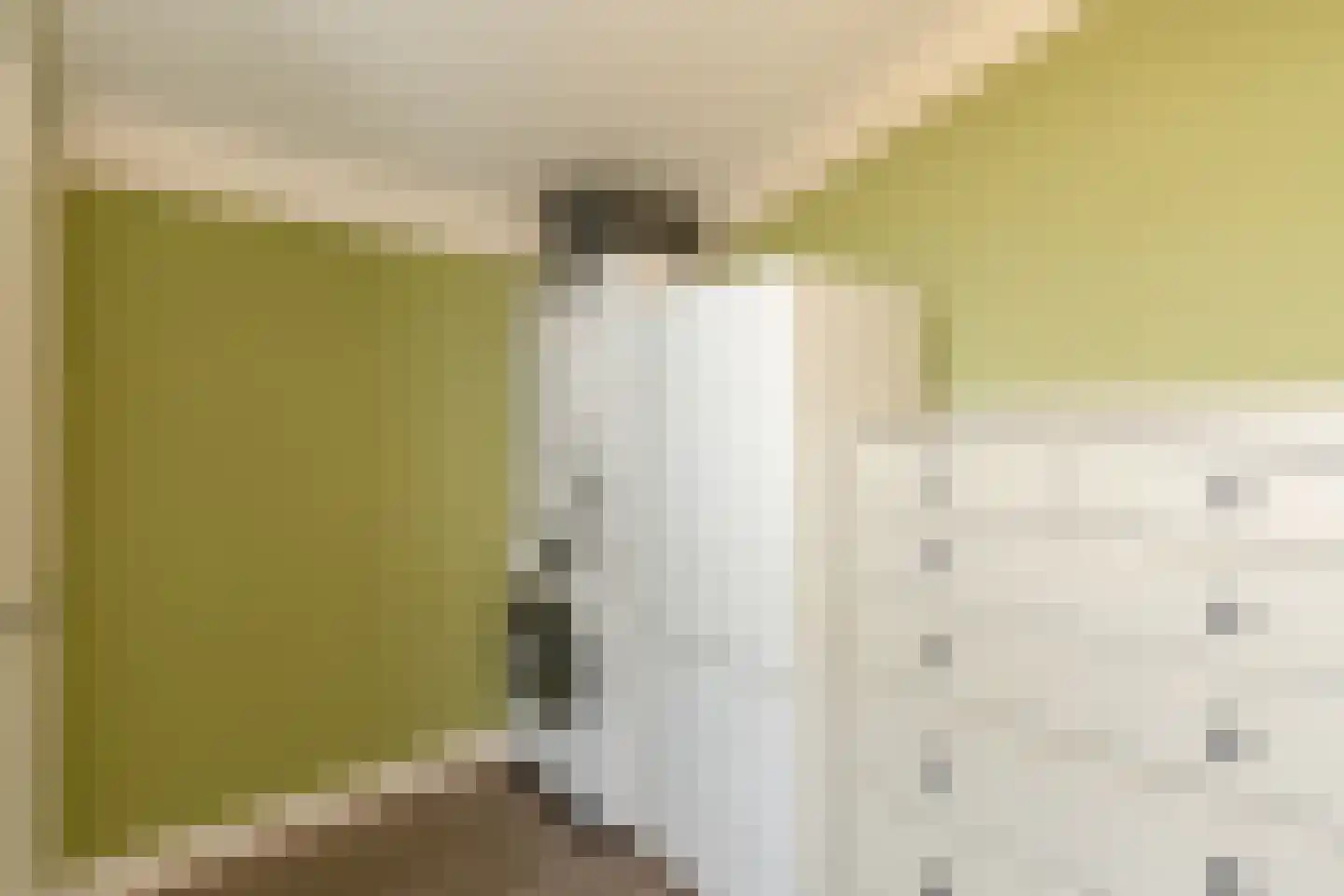 Palmbosweg 12 54 Ermelo thumbnail 15