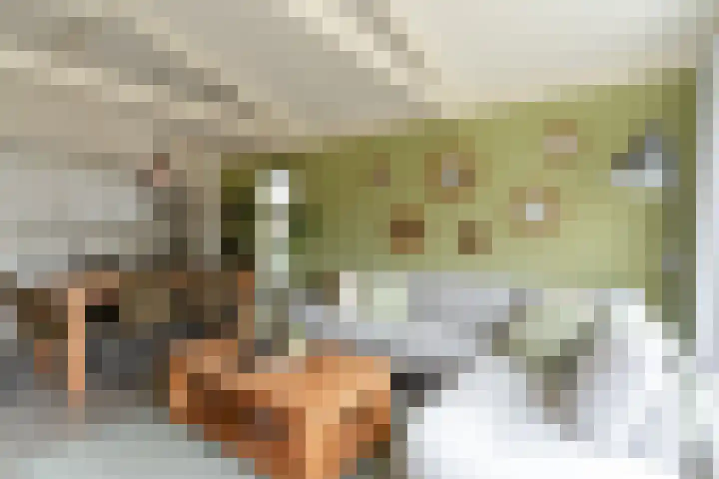 Palmbosweg 12 54 Ermelo thumbnail 9
