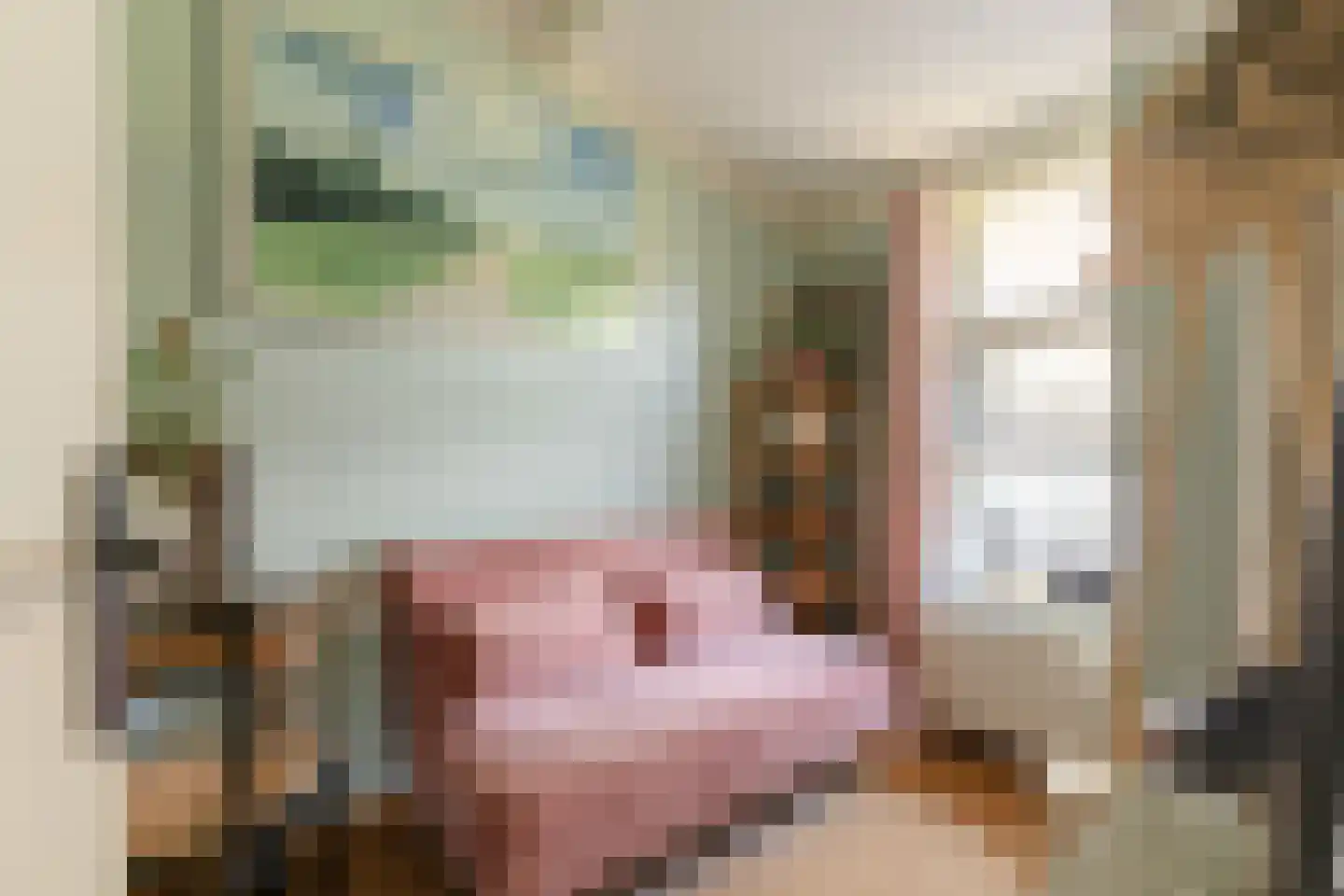 Palmbosweg 12 76 Ermelo thumbnail 15