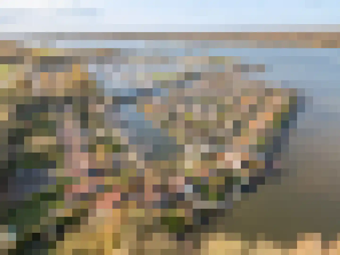 Palmbosweg 12 76 Ermelo thumbnail 33