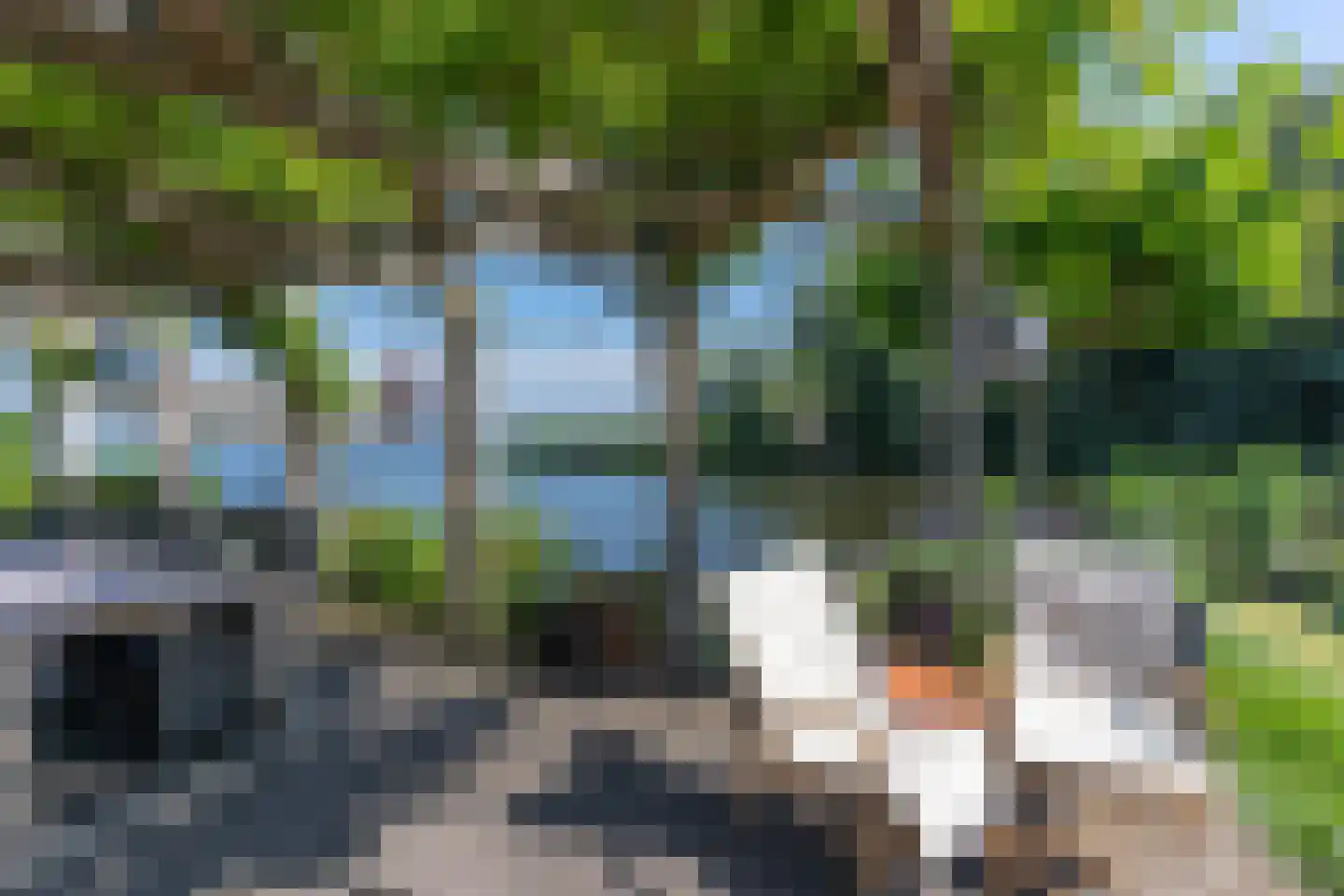 Palmbosweg 12 76 Ermelo thumbnail 5
