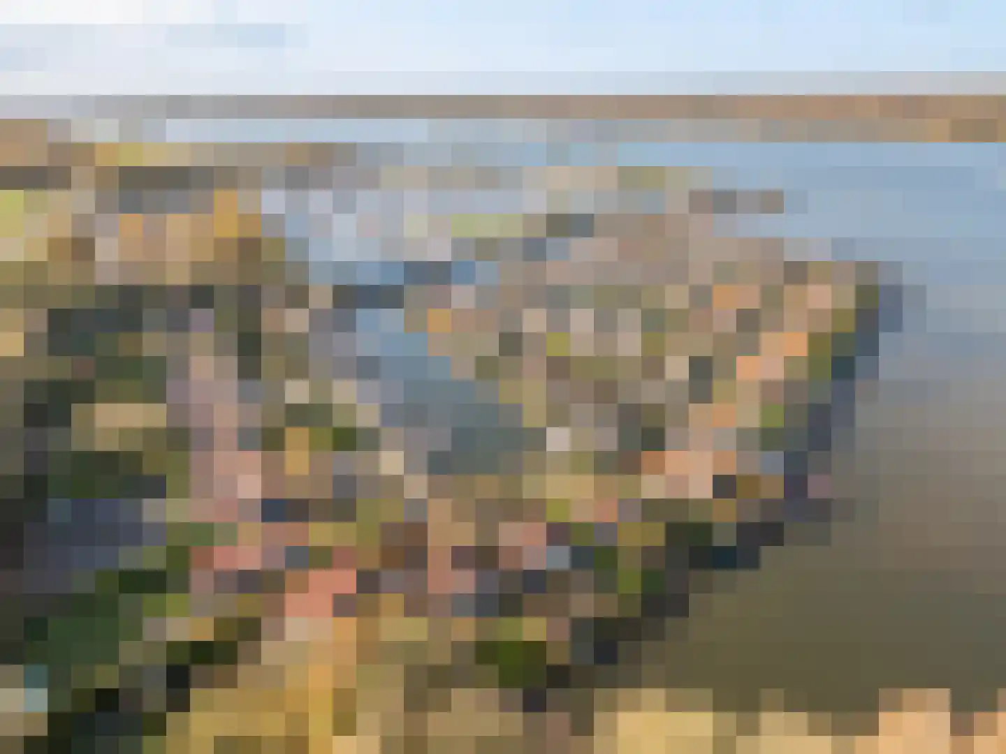 Palmbosweg 12 81 Ermelo thumbnail 31