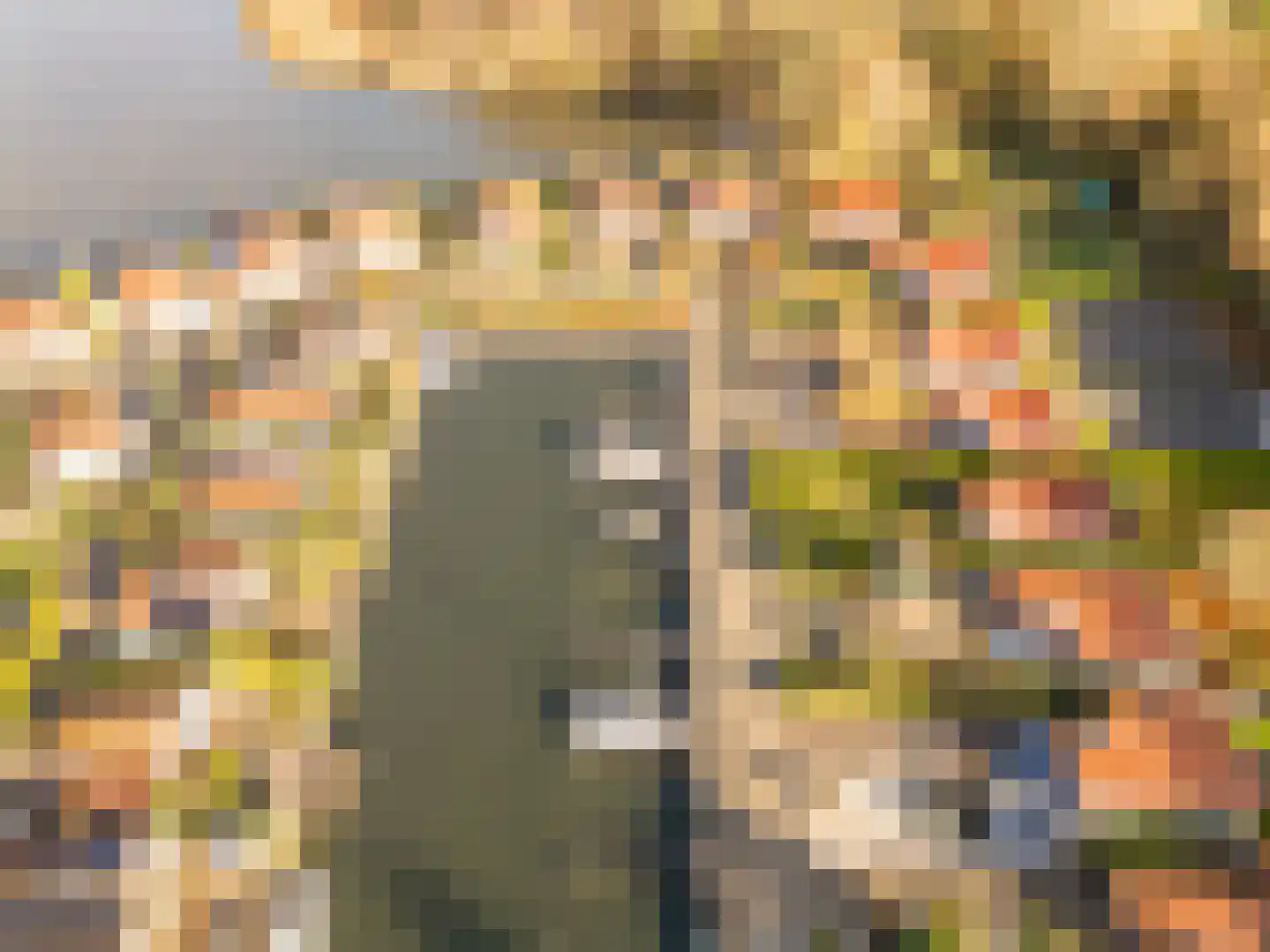Palmbosweg 12 81 Ermelo thumbnail 35