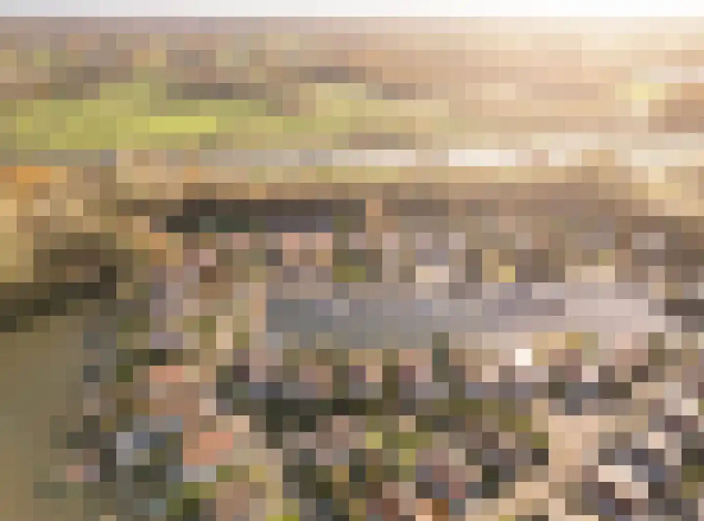 Palmbosweg 12 81 Ermelo thumbnail 36