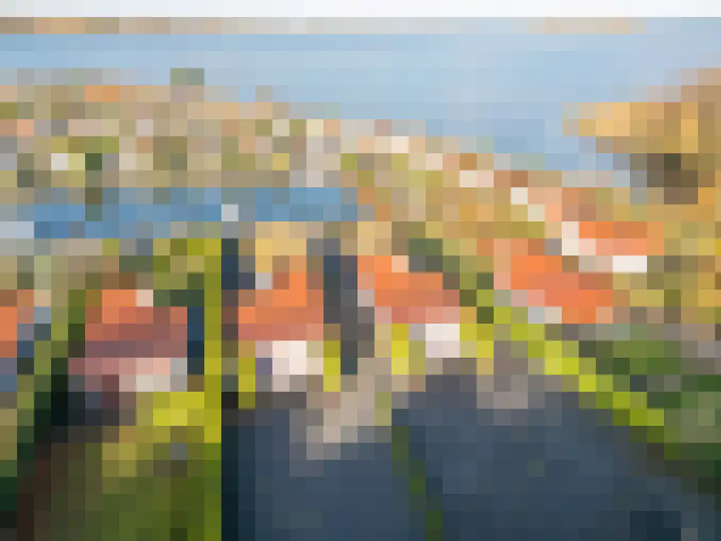 Palmbosweg 12 81 Ermelo thumbnail 4