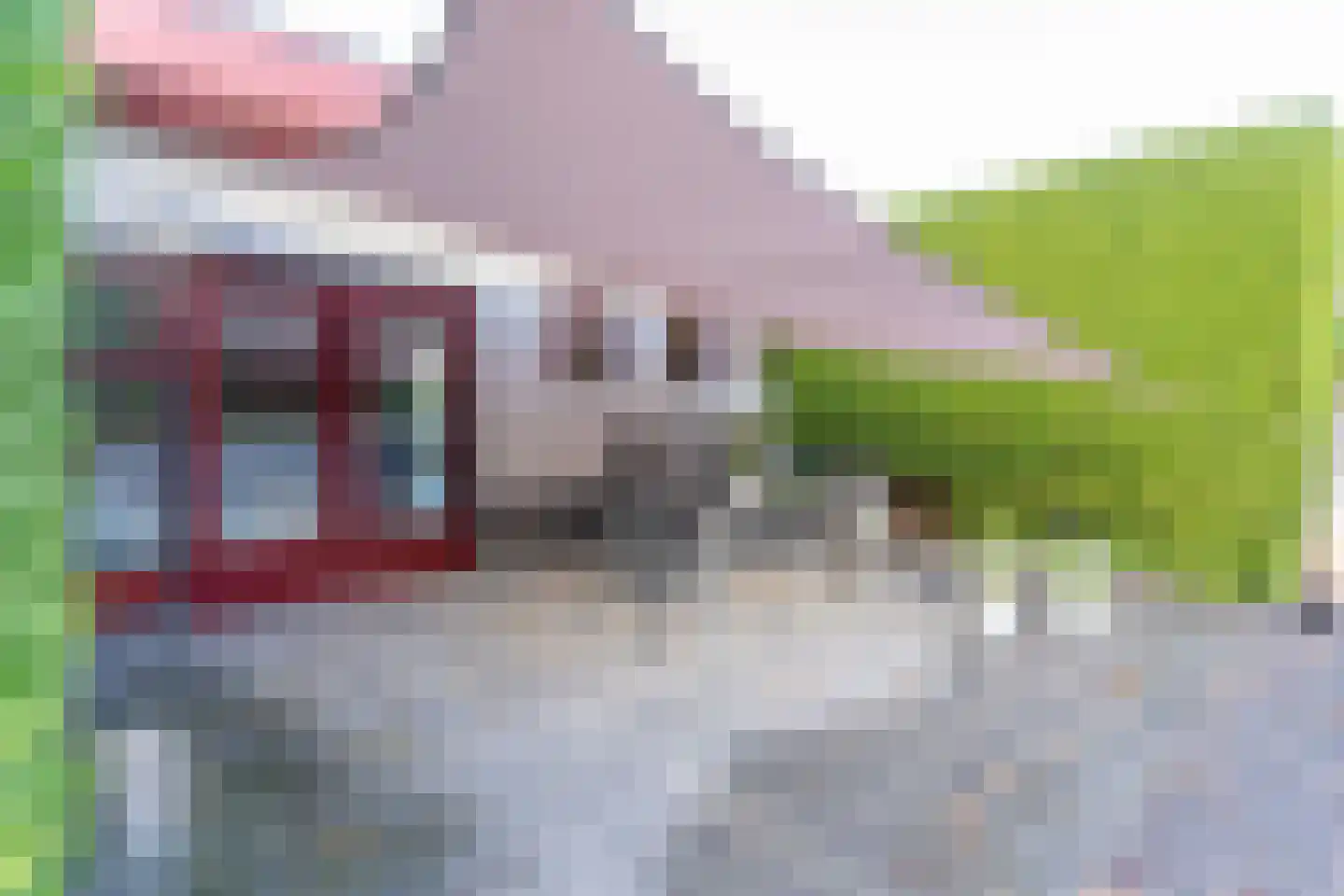 Palmbosweg 12 81 Ermelo thumbnail 7