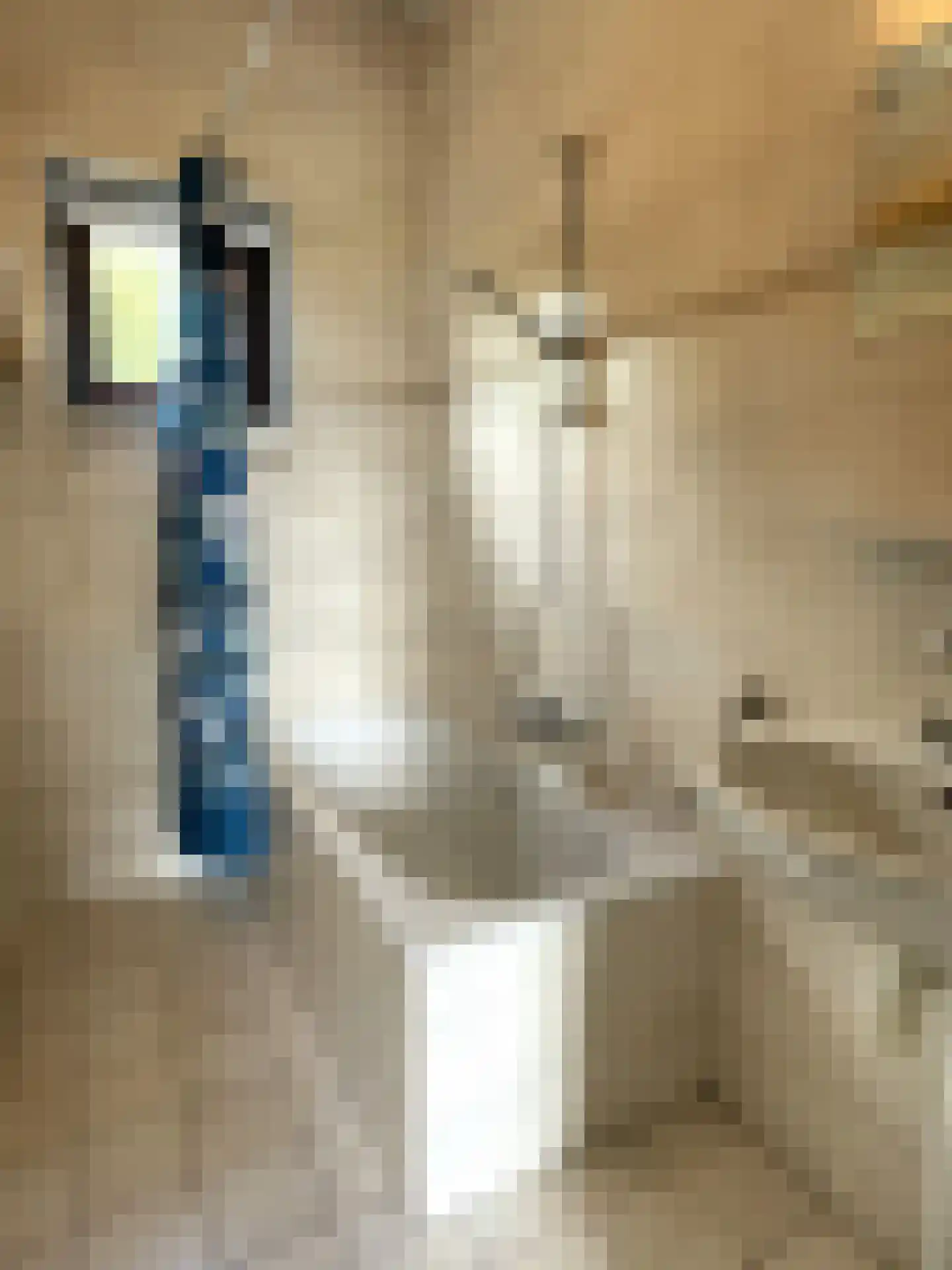 Palmbosweg 12 83 Ermelo thumbnail 11