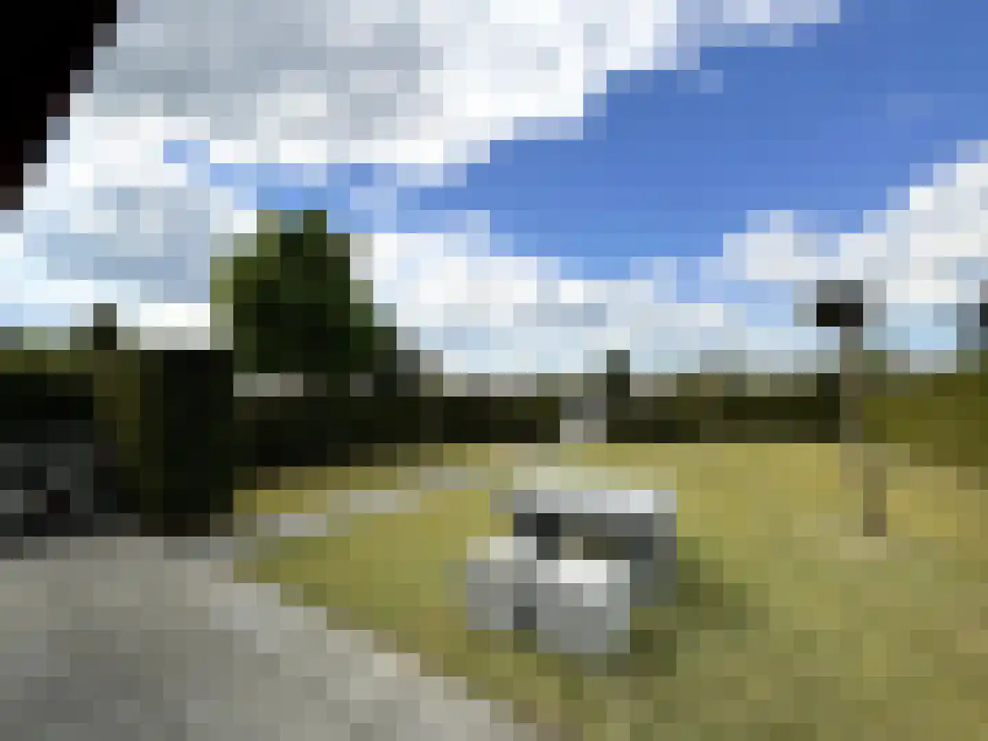 Palmbosweg 12 83 Ermelo thumbnail 13