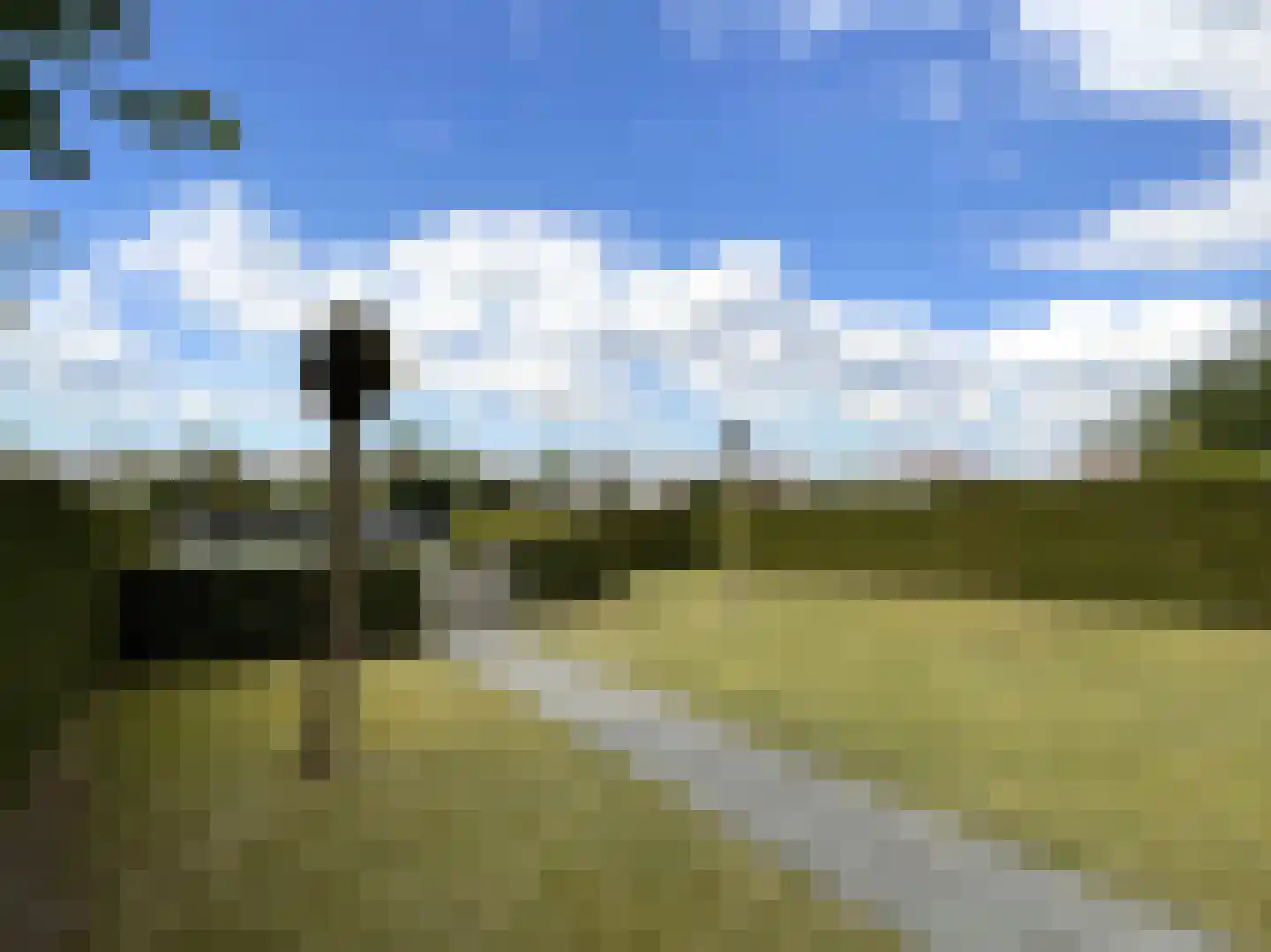 Palmbosweg 12 83 Ermelo thumbnail 15
