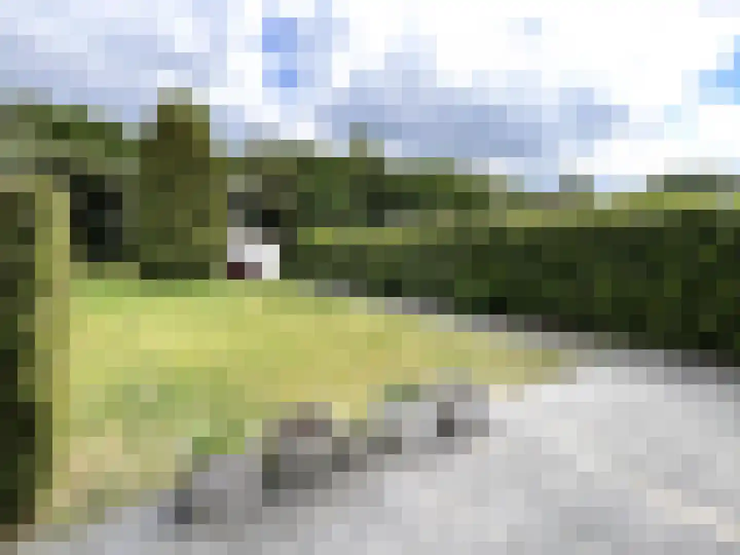 Palmbosweg 12 83 Ermelo thumbnail 19
