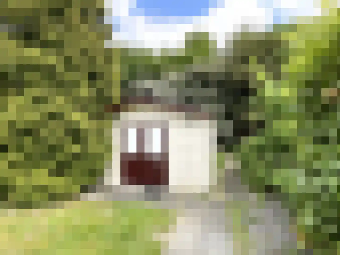 Palmbosweg 12 83 Ermelo thumbnail 21