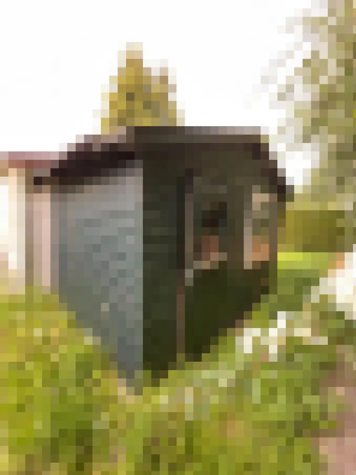 Palmbosweg 12 83 Ermelo thumbnail 22