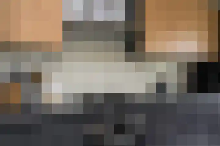 Palmdwarsstraat 43 Rotterdam thumbnail 10