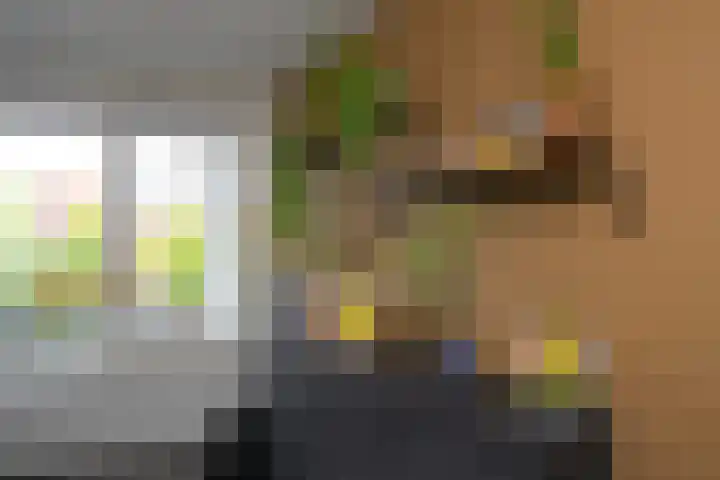 Palmdwarsstraat 43 Rotterdam thumbnail 11