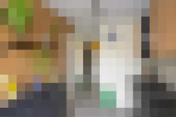 Palmdwarsstraat 43 Rotterdam thumbnail 12