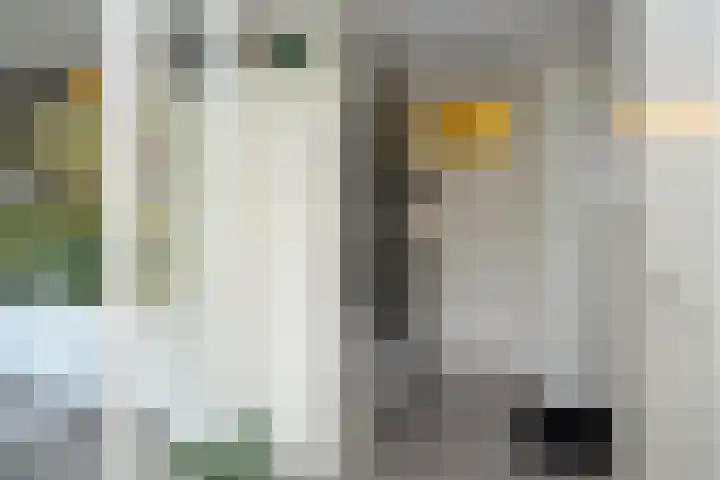 Palmdwarsstraat 43 Rotterdam thumbnail 4
