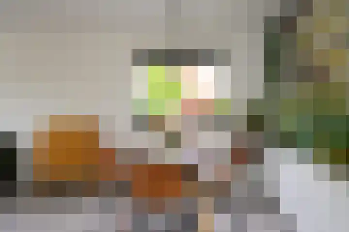 Palmdwarsstraat 43 Rotterdam thumbnail 5