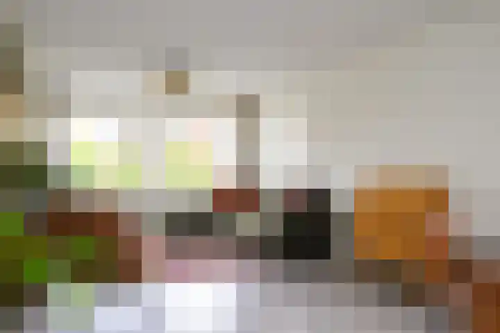 Palmdwarsstraat 43 Rotterdam thumbnail 6