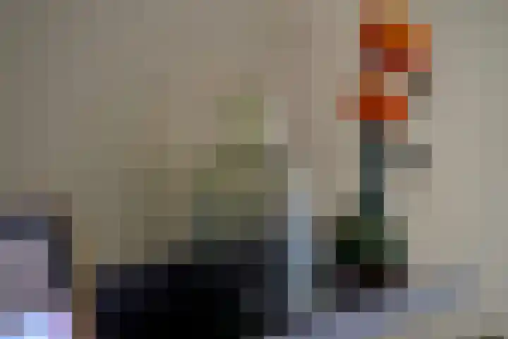Palmdwarsstraat 43 Rotterdam thumbnail 7