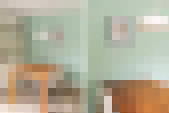Palmdwarsstraat 9 Rotterdam thumbnail 15