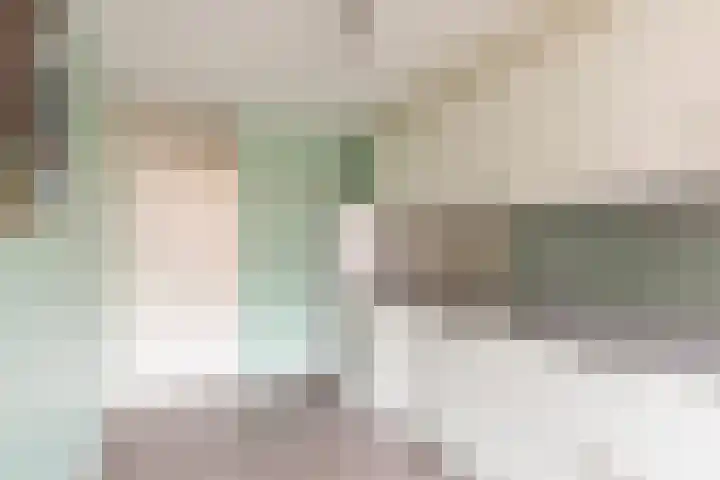 Palmdwarsstraat 9 Rotterdam thumbnail 17