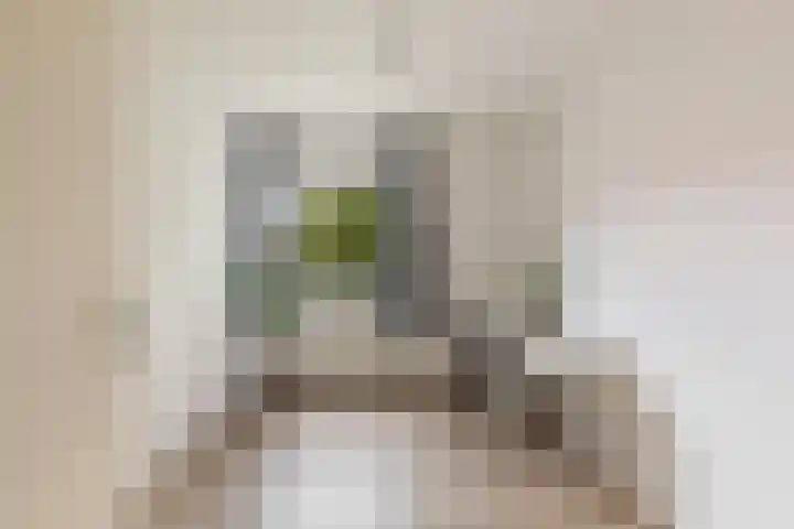 Palmdwarsstraat 9 Rotterdam thumbnail 25