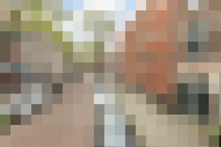 Palmdwarsstraat 9 Rotterdam thumbnail 37