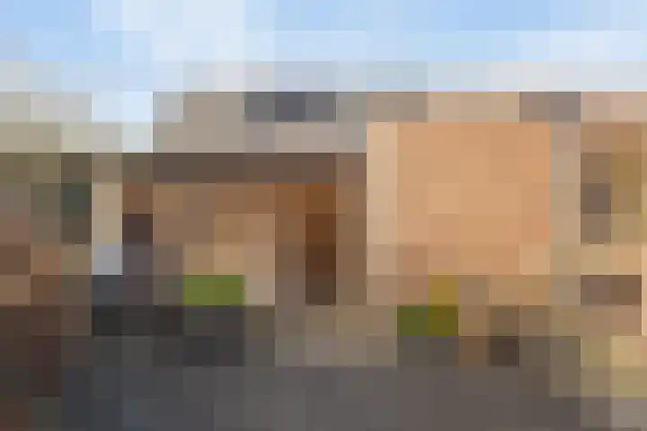 Palmedreef 11 Ede thumbnail 27