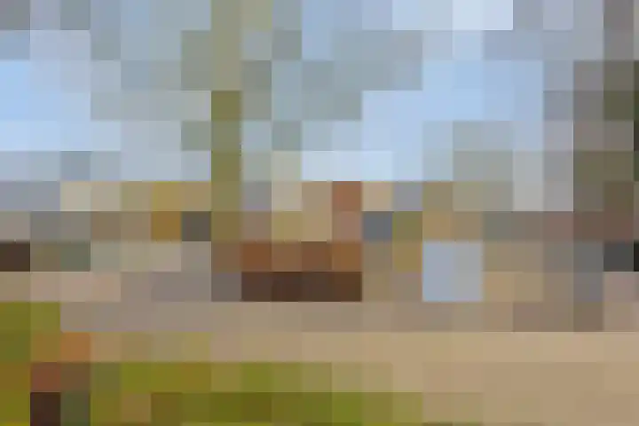 Palmedreef 11 Ede thumbnail 33