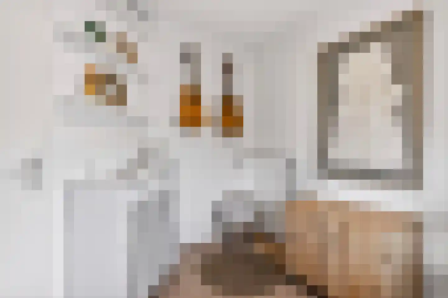 Palmedreef 19 Ede thumbnail 21