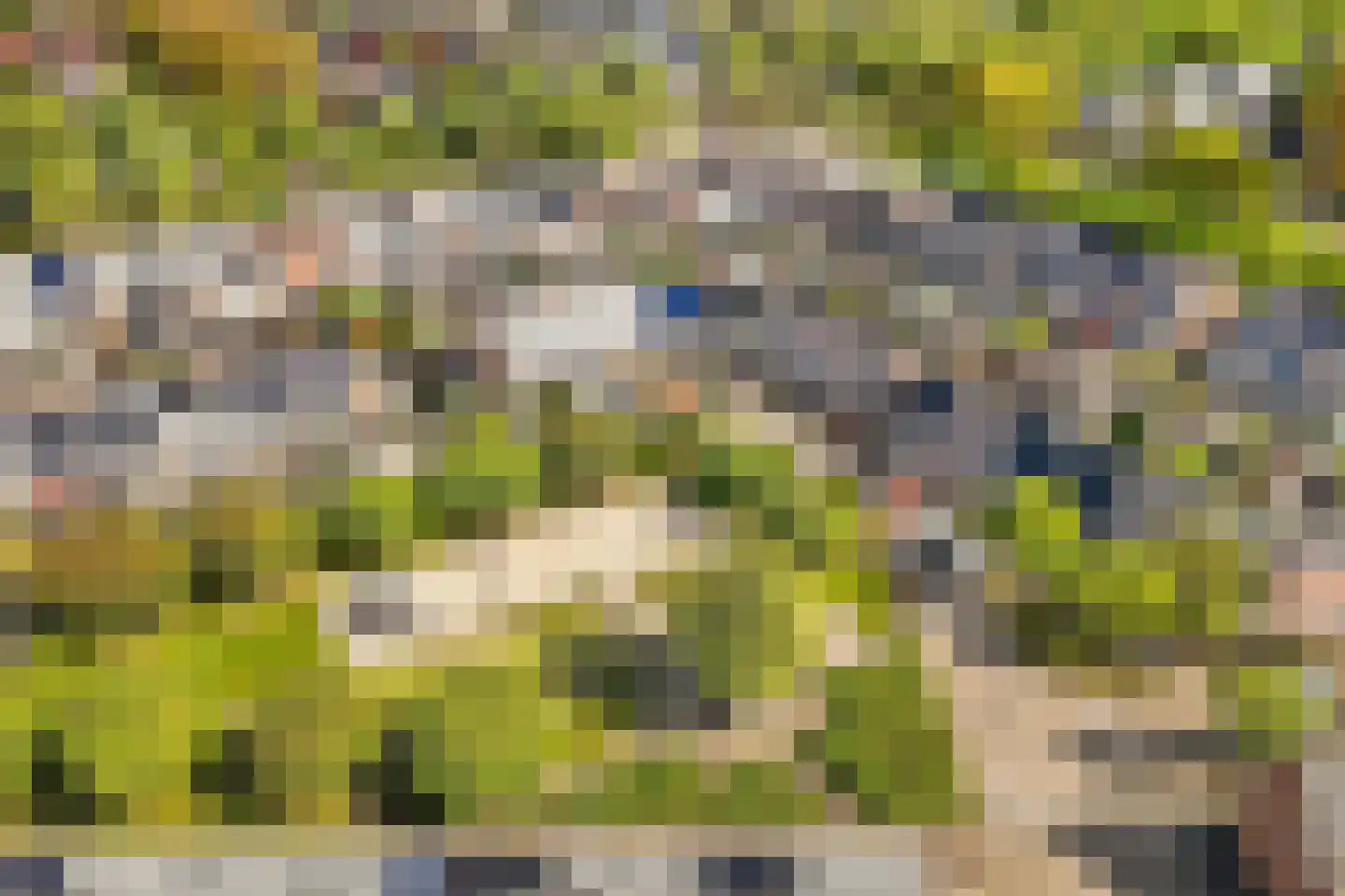 Palmedreef 19 Ede thumbnail 46