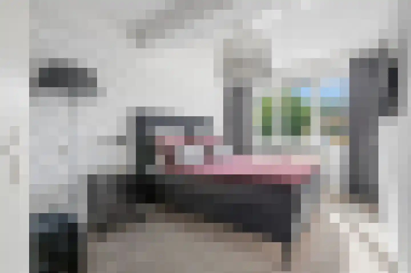 Palmedreef 21 Ede thumbnail 13