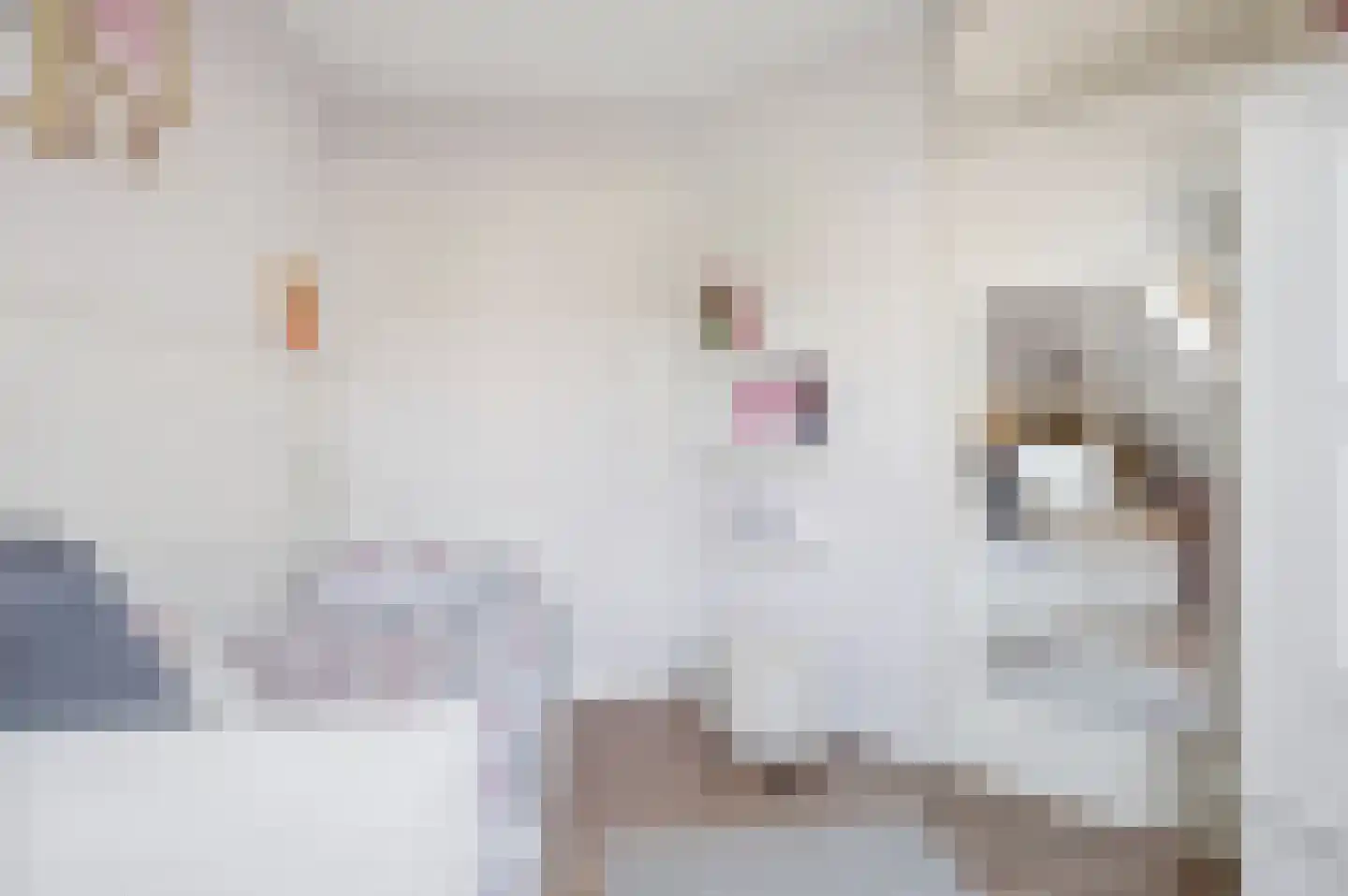 Palmedreef 21 Ede thumbnail 20