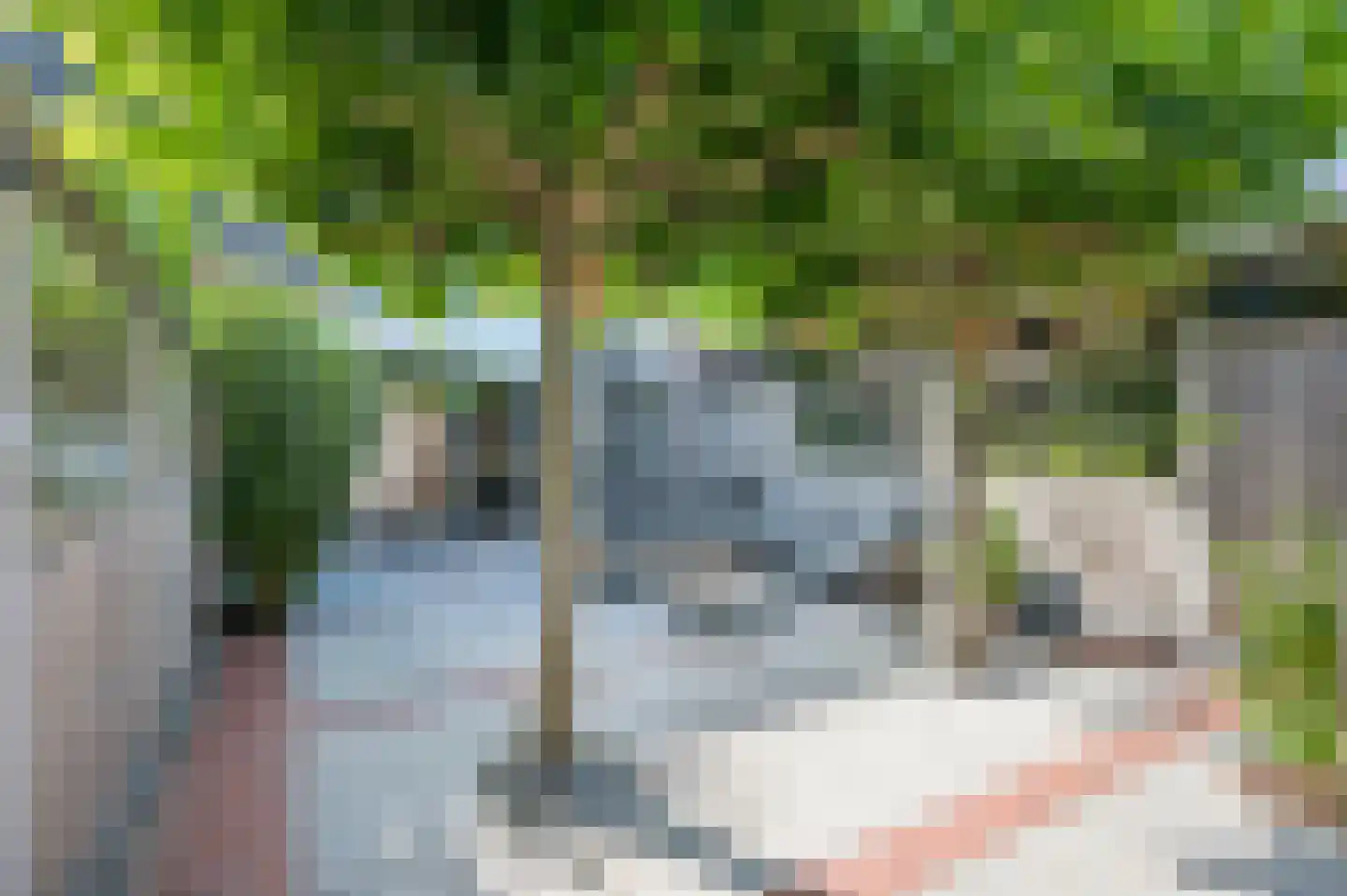 Palmedreef 21 Ede thumbnail 26