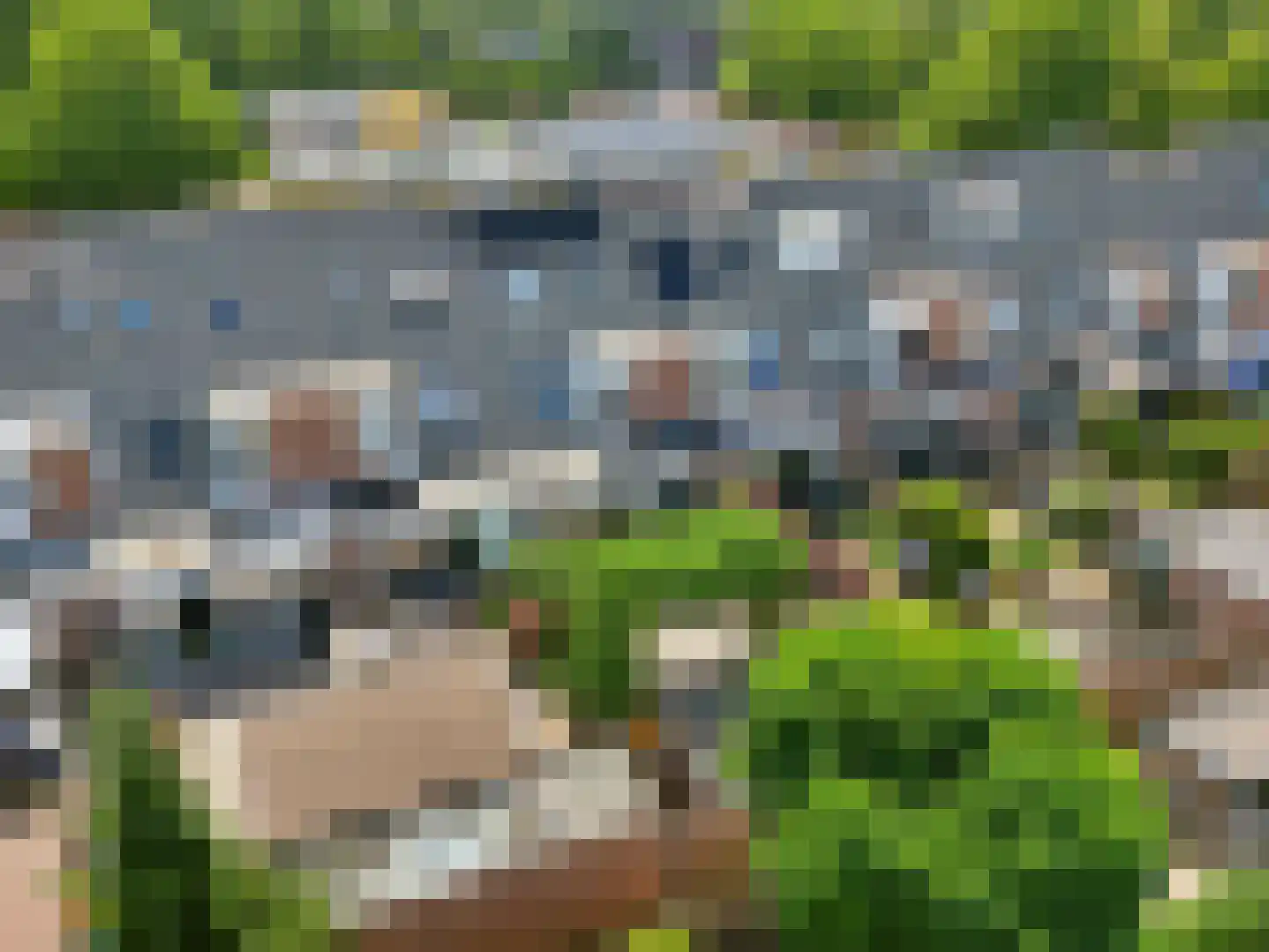 Palmedreef 21 Ede thumbnail 31